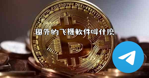 國外的飞機軟件叫什麼