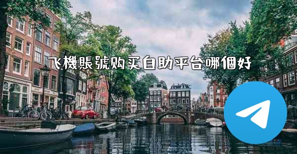飞機賬號购买自助平台哪個好