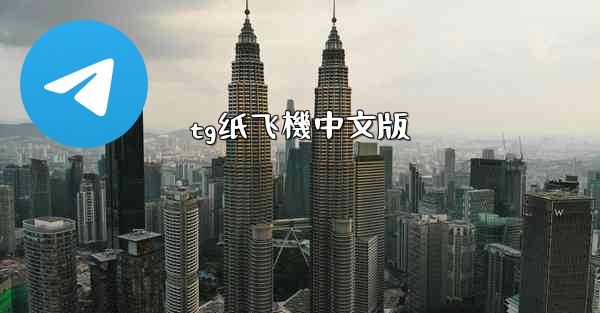 tg纸飞機中文版