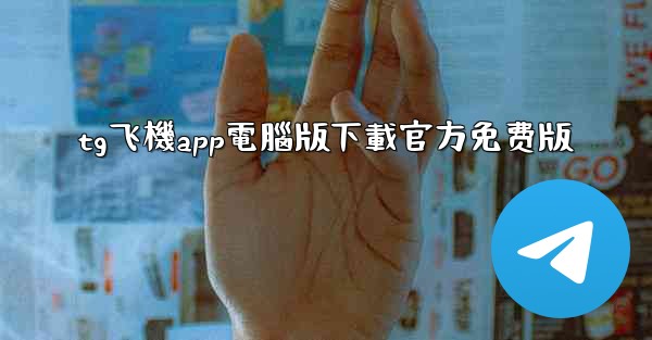 tg飞機app電腦版下載官方免费版
