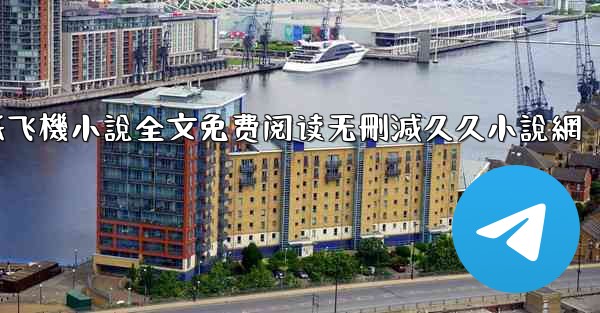 纸飞機小說全文免费阅读无刪減久久小說網