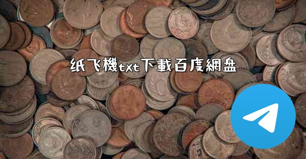 纸飞機txt下載百度網盘