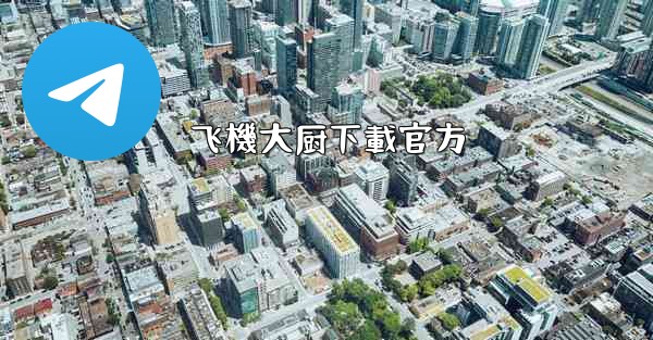 飞機大厨下載官方