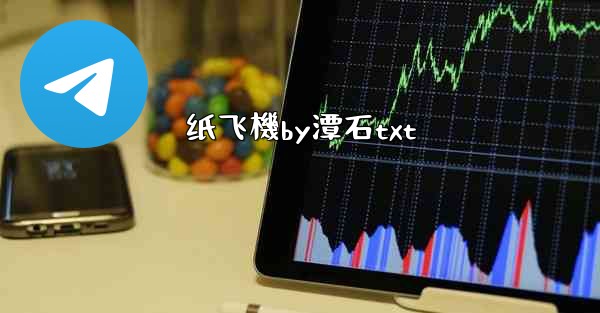 纸飞機by潭石txt