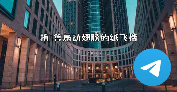 折叠會扇动翅膀的纸飞機