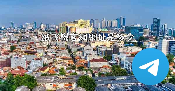 纸飞機官網網址是多少