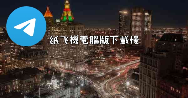 纸飞機電腦版下載慢