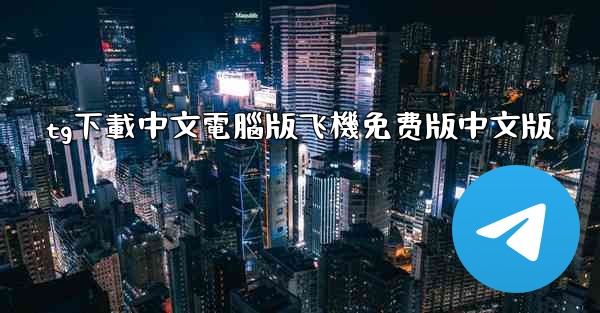 tg下載中文電腦版飞機免费版中文版