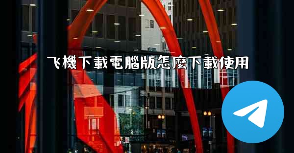 飞機下載電腦版怎麼下載使用