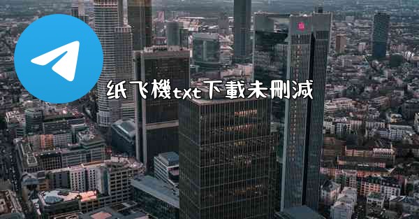 纸飞機txt下載未刪減
