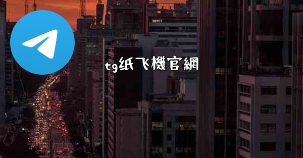 tg纸飞機官網