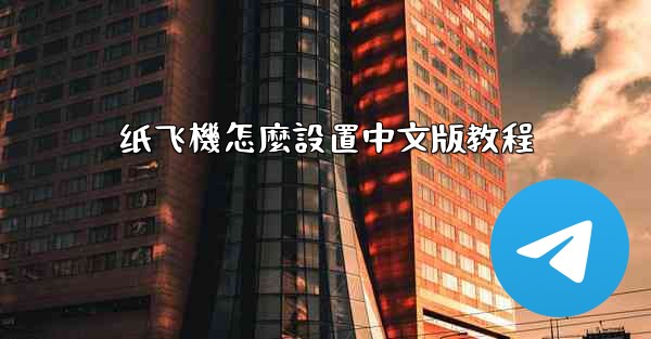 纸飞機怎麼設置中文版教程