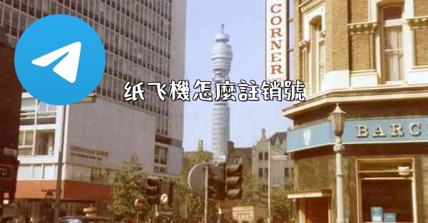 纸飞機怎麼註销號