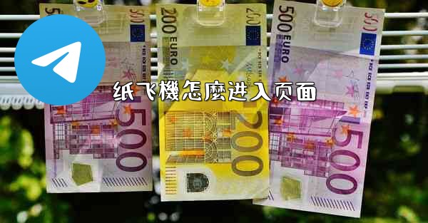 纸飞機怎麼进入页面