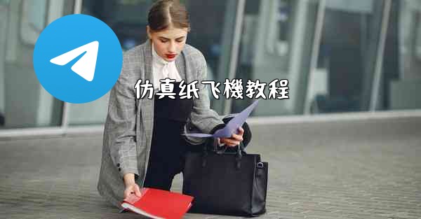 仿真纸飞機教程