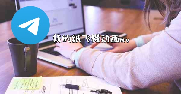 我的纸飞機动画mv