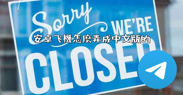 安卓飞機怎麼弄成中文版的