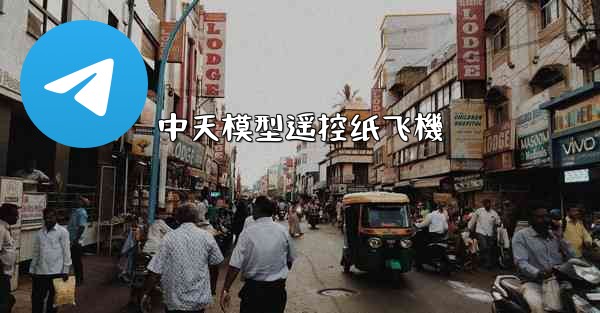 中天模型遥控纸飞機