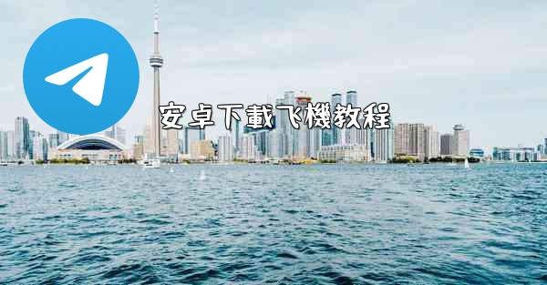 安卓下載飞機教程