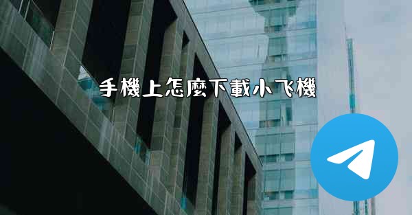 手機上怎麼下載小飞機