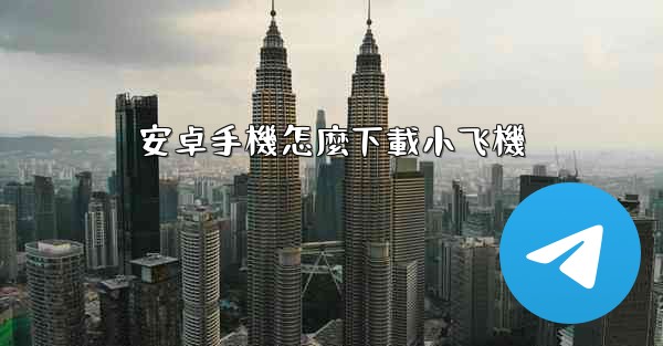 安卓手機怎麼下載小飞機