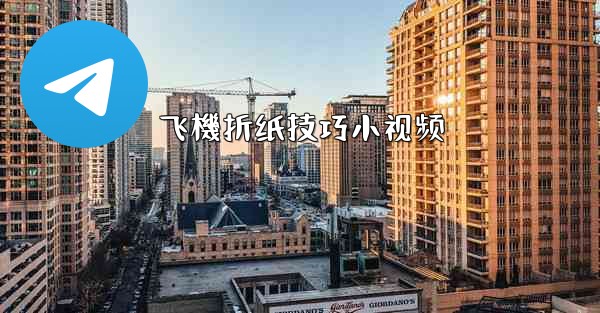 飞機折纸技巧小视频