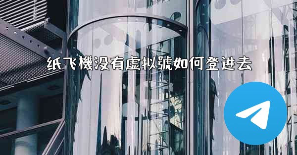 纸飞機没有虚拟號如何登进去