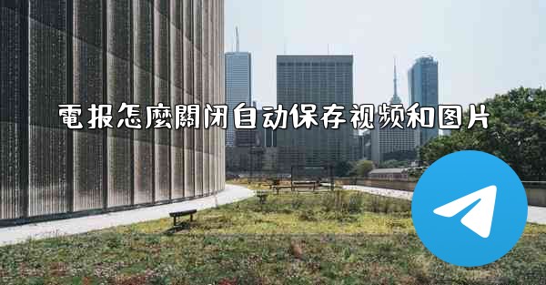 電报怎麼關闭自动保存视频和图片