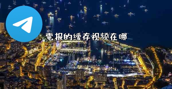 電报的缓存视频在哪