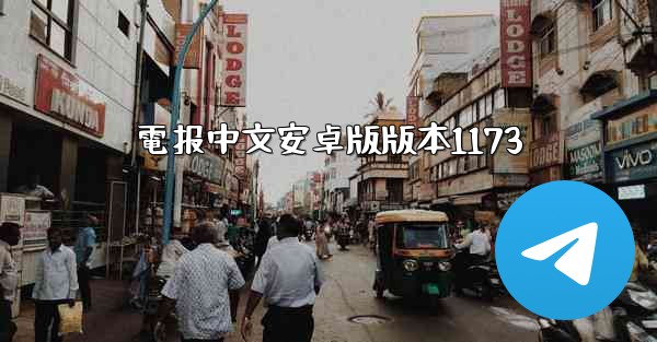 電报中文安卓版版本1173