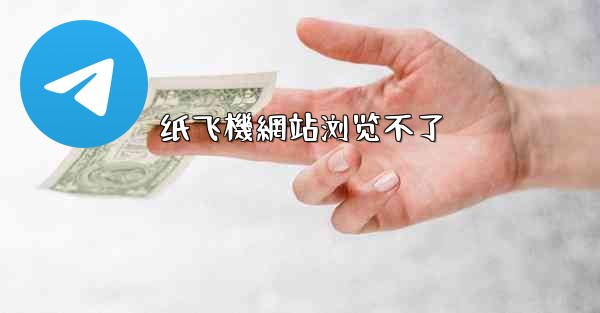 纸飞機網站浏览不了