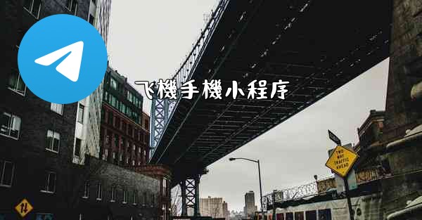 飞機手機小程序