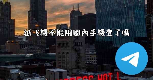 纸飞機不能用國內手機登了嗎