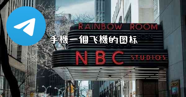 手機一個飞機的图标