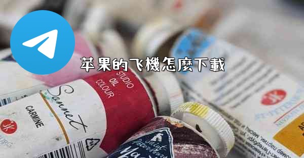 苹果的飞機怎麼下載