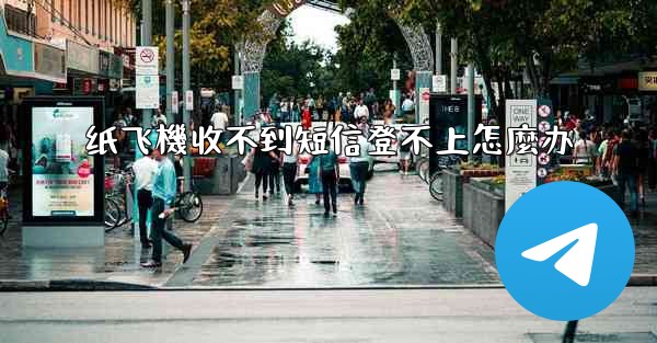 纸飞機收不到短信登不上怎麼办