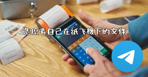 怎麼看自己在纸飞機下的文件