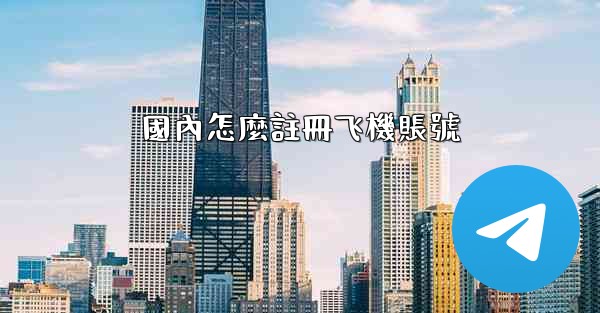 國內怎麼註冊飞機賬號