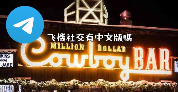 飞機社交有中文版嗎