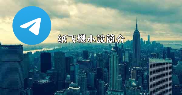 纸飞機小說簡介