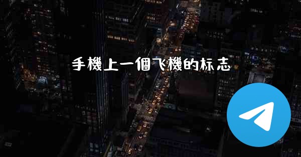 手機上一個飞機的标志