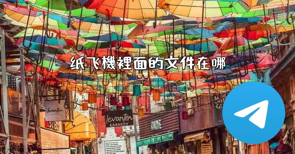 纸飞機裡面的文件在哪