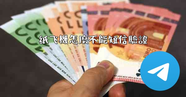 纸飞機怎麼不能短信驗證