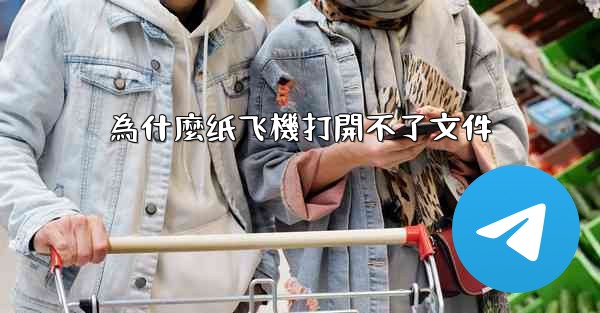 為什麼纸飞機打開不了文件