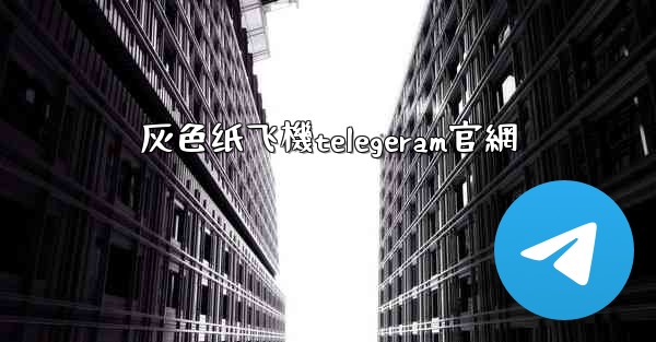 灰色纸飞機telegeram官網