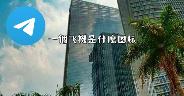 一個飞機是什麼图标