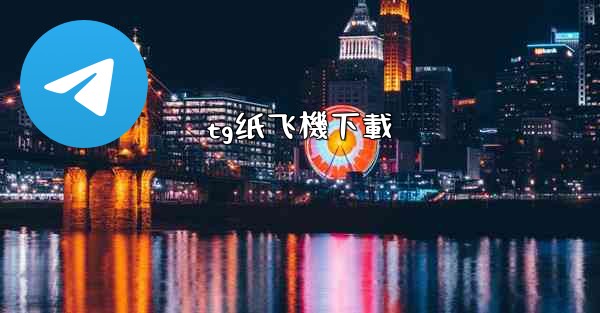 tg纸飞機下載