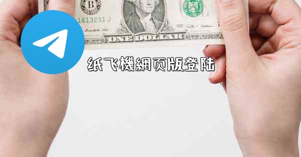 纸飞機網页版登陆