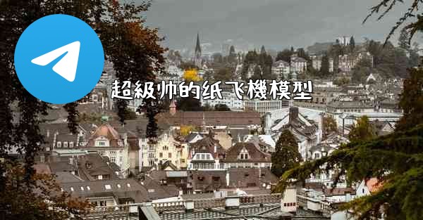 超級帅的纸飞機模型