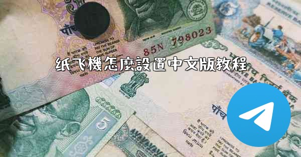 纸飞機怎麼設置中文版教程